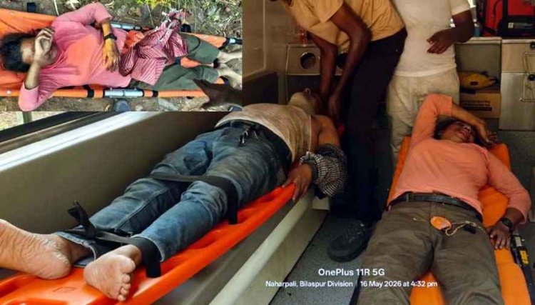 छत्तीसगढ़ की गुफा में शोध के दौरान मधुमक्खियों का हमला, साइंटिस्ट-रिसर्चर और वनकर्मी घायल, अस्पताल में भर्ती, मौके पर मची अफरा-तफरी