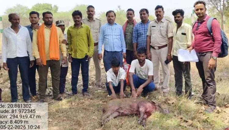 फिंगेश्वर क्षेत्र में 6 पालतू कुत्तों के साथ जंगली सुअर का शिकार, वन विभाग ने मारा छापा, एक नाबालिग समेत तीन शिकारी गिरफ्तार, चार फरार, पिकअप जब्त