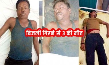 मनरेगा कार्यस्थल पर गिरी आकाशीय बिजली, बारिश से बचने पेड़ के नीचे खड़े उपसरपंच समेत 3 मजदूरों की दर्दनाक मौत, 5 गंभीर घायल, गांव में पसरा मातम