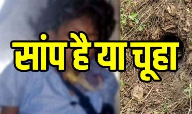 चूहे के बिल से निकले सांप ने घर में सोने के दौरान डसा, परिवार ने समझा कीड़ा काटा, 11 वर्षीय मासूम बच्ची की इलाज के दौरान मौत, परिवार में पसरा मातम