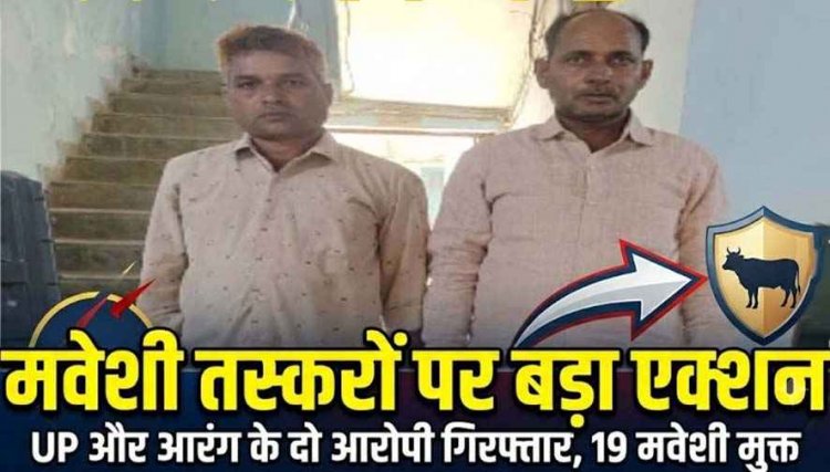 धमतरी के बाद आरंग में आधी रात मवेशी तस्करों पर एक्शन, फिल्मी स्टाइल में घेराबंदी कर दो आरोपी को किया गिरफ्तार, माजदा वाहन से 19 गोवंश बरामद