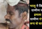 दिल दहला देने वाली घटना, घर के पास भालू ने ग्रामीण पर किया जानलेवा हमला, जान बचाने भिड़ गया ग्रामीण, गंभीर रूप से घायल, जिला अस्पताल रेफर