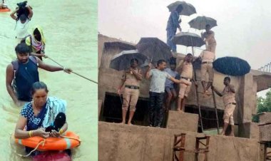 बारिश से जतमई में सैलानियों की भीड़, निर्माणाधीन पुलिया बनी आफत, कई गांवों का संपर्क टूटा, रात भर पेड़ पर रहे 14 मजदूर, पेड़ पर गिरी आकाशीय बिजली