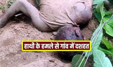 हाथी का खूनी तांडव, मशरूम ढूंढने जंगल गए जहाज को गजराज ने कुचलकर मार डाला, ग्रामीणों ने दहशत का माहौल, सुरक्षा की मांग, अलर्ट जारी