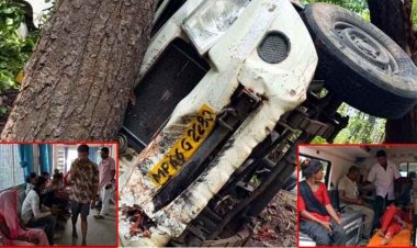 मां कुदरगढ़ के दर्शन से पहले मचा कोहराम, पेड़ से टकराई पिकअप, श्रद्धालुओं की चीख-पुकार से गूंजा इलाका, 13 श्रद्धालु घायल, 4 की हालत नाजुक