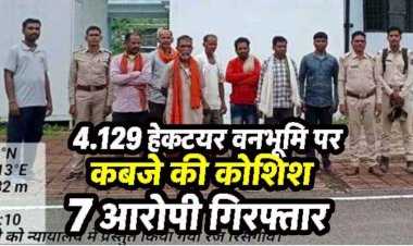 उदंती-सीतानदी टाइगर रिजर्व में अतिक्रमण की साजिश नाकाम, 132 हरे पेड़ों की अवैध कटाई कर बोई जा रही फसल, वन विभाग ने 7 आरोपियों को किया गिरफ्तार