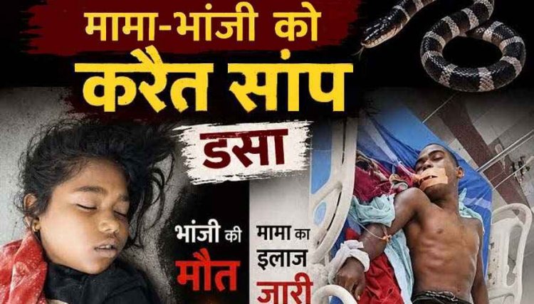 सोते समय मामा-भांजी को करैत सांप ने डसा, 10 वर्षीय मासूम बच्ची की मौत, मामा ICU भर्ती, मामा भांजी की हालत नाजुक, गांव में शोक की लहर