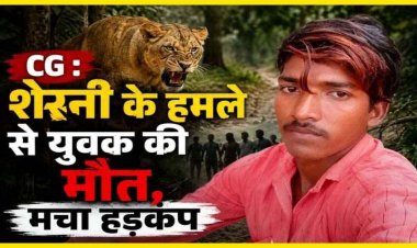 दिल दहला देने वाली घटना: शेरनी का खूनी हमला, 25 वर्षीय युवक की दर्दनाक मौत, शावक के आसपास घूम रही मादा, इलाके में दहशत का महौल