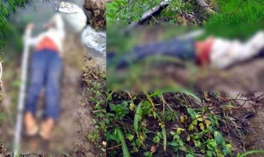पेड़ के आसपास सफाई करने के दौरान खेत में करंट की चपेट में आने से युवक की मौत, हादसे के बाद से गांव में शोक का माहौल, जांच में जुटी आरंग पुलिस