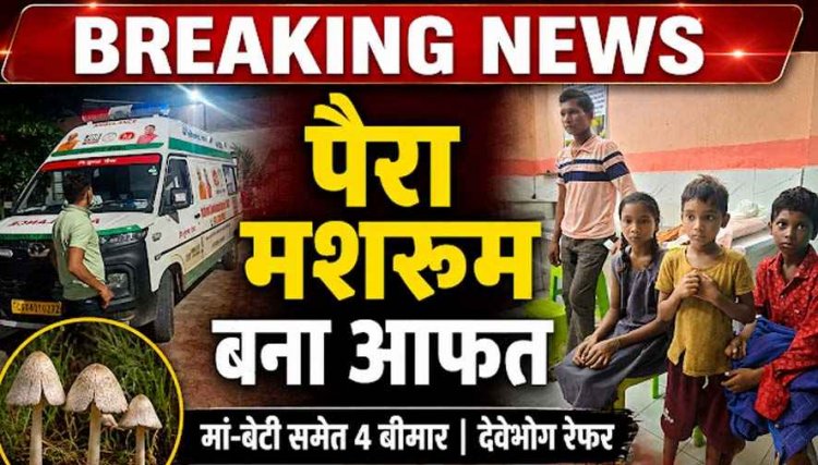 आधी रात पैरा मशरूम खाने से फूड पॉइजनिंग, मां-बेटी समेत एक ही परिवार के 4 लोग बीमार, मचा हड़कंप, अस्पताल में भर्ती, हालत नाजुक, किया रेफर