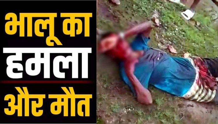 नहीं थम रहा भालू का आतंक, मवेशी चराने जंगल गए ग्रामीण पर रीछ ने किया जानलेवा हमला, अस्पताल ले जाते वक्त तोड़ा दम, गांव में दहशत का माहौल