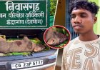 अज्ञात वाहन की टक्कर से दो जंगली सूअरों की मौत, मृत सूअर को बाइक पर ले जा रहा युवक गिरफ्तार, हादसा या कुछ ओर?, जांच में जुटी वन विभाग
