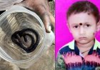 नयापारा में करैत सांप ने सोते समय 10 वर्षीय छात्र को डसा, इलाज के दौरान मासूम बच्चे की मौत, परिवार में पसरा मातम, 2 महीने में सर्पदंश के 46 मामले आए सामने