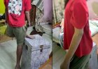 फंदे पर मिली उच्च न्यायालय में वकालत की प्रैक्टिस कर रहे 30 वर्षीय लॉ छात्र की लाश, नहीं मिला सुसाइड नोट, सदमे में परिवार, जांच में जुटी पुलिस