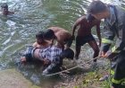 गणेश प्रतिमा विसर्जन के दौरान हुए कई हादसे, 6 बच्चों समेत 18 लोगों की दर्दनाक मौत, इलाके में पसरा मातम, परिजनों का रो-रोकर बुरा हाल 