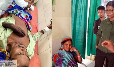 खेत की तरफ जा रहे ग्रामीण के सामने अचानक सामने आई मादा भालू, हमला कर किया घायल, इलाके में दहशत का माहौल, क्षेत्र में निगरानी बढ़ाने की मांग 