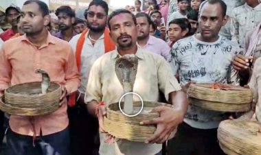 ऋषि पंचमी पर देवरी में निकाली गई जहरीले सांपों की अनोखी शोभायात्रा, सैंकड़ों की तादात में शामिल हुए लोग, पूजा-अर्चना के बाद जंगल में छोड़े गए सर्प