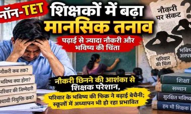 शिक्षकों के लिए टीईटी की अनिवार्यता को खत्म करने प्रतिनिधि मंडल ने की सांसद से मुलाकात, भविष्य की चिंता में डूबी नौकरी, स्कूलों में पढ़ाई पर हो रहा असर