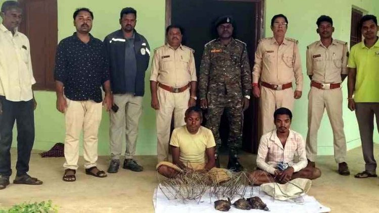 जंगल में अवैध शिकार की तैयारी, वन विभाग ने 2 आरोपियों को किया गिरफ्तार ब्भेजा जेल, शिकारियों से 3 मृत जंगली मुर्गे और 53 फीट लंबा फंदा बरामद