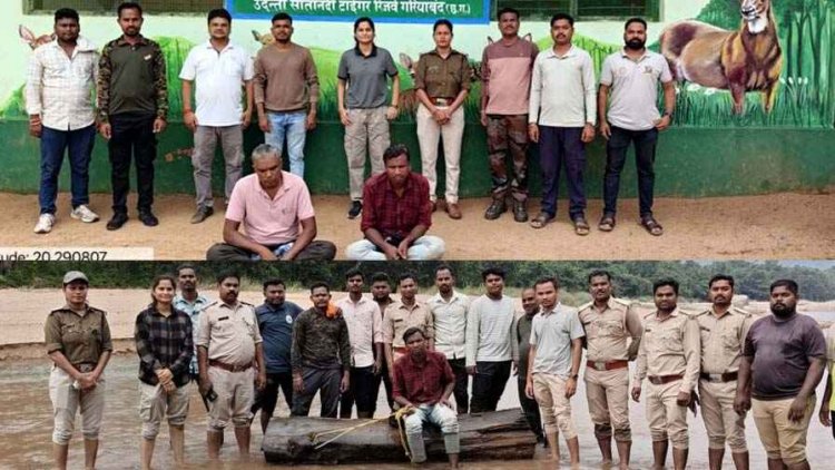 पुष्पा बनने निकले सागौन तस्कर! नदी में लकड़ी छिपाकर ओडिशा भेजने की प्लानिंग फेल, स्मार्ट सर्विलांस ने खोला पूरा राज, 3 स्मगलर गिरफ्तार