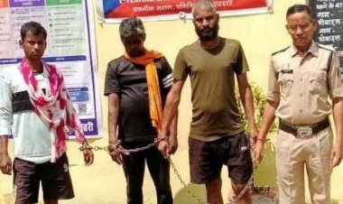 पशु तस्करी के खिलाफ कार्रवाई, धमतरी में 13 गाय, 6 बछड़े और 12 छोटे बच्चे बरामद, जंगल के रास्ते गोवंश ओडिशा ले जा रहे गरियाबंद के 3 आरोपी गिरफ्तार