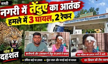बैल के शिकार के लिए गांव में घुसा तेंदुआ, बचाने पहुंचे ग्रामीणों पर भी किया हमला; तीन घायल, दो की हालत गंभीर, धमतरी रेफर, गांव में दहशत का माहौल