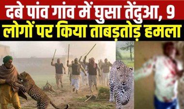 धमतरी के नगरी-सिहावा में तेंदुए का आतंक, 9 लोगों को घायल करने के बाद ग्रामीण तेजलाल यादव पर जानलेवा हमला, ग्रामीणों में दहशत का माहौल