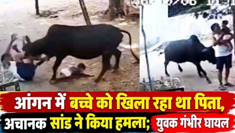 आवारा खूंखार सांड का आतंक, महिला समेत 15 लोगों पर हमला, बच्चे को गोद में लिए बुजुर्ग को दौड़ा-दौड़ाकर मारा, गंभीर घायल, मची अफरा-तफरी