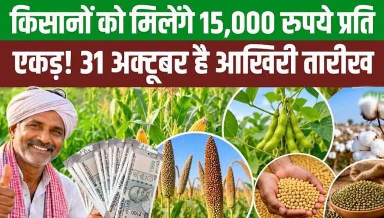 छत्तीसगढ़ के किसानों को धान के स्थान पर अन्य खरीफ फसल लगाने पर मिलेगा 15 हजार रुपये प्रति एकड़!, 31 अक्टूबर तक होगा पंजीयन