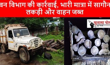 CG NEWS: वन विभाग की कार्रवाई, भारी मात्रा में सागौन लकड़ी और वाहन जब्त 