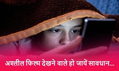 Porn Movie: अश्लील फिल्म देखने वाले हो जायें सावधान, साइबर ठग एक झटके में बना देंगे कंगाल 