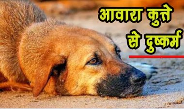 दील्ली में आवारा कुत्ते से दुष्कर्म, कैमरे में कैद हुआ करतूत, एफआईआर दर्ज