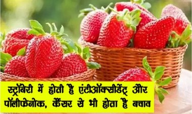 Health News : स्ट्रॉबेरी में होती है एंटीऑक्सीडेंट् और पॉलीफेनोक, कैंसर से भी होता है बचाव