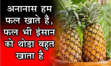 Health News : अनानास हम फल खाते हैं, फल भी इंसान को थोड़ा-बहुत खाता है...