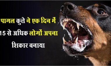पागल कुत्ते ने एक दिन में 15 से अधिक लोगों अपना शिकार बनाया