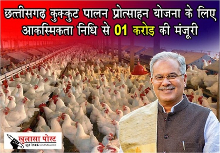 CG NEWS : छत्तीसगढ़ कुक्कुट पालन प्रोत्साहन योजना के लिए आकस्मिकता निधि से 01 करोड़ की मंजूरी