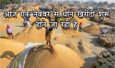 CG News : आज एक नवंबर से धान खरीदी शुरू होने जा रही है