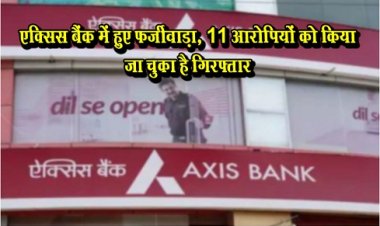CG News : एक्सिस बैंक में हुए फर्जीवाड़ा, 11 आरोपियों को किया जा चुका है गिरफ्तार