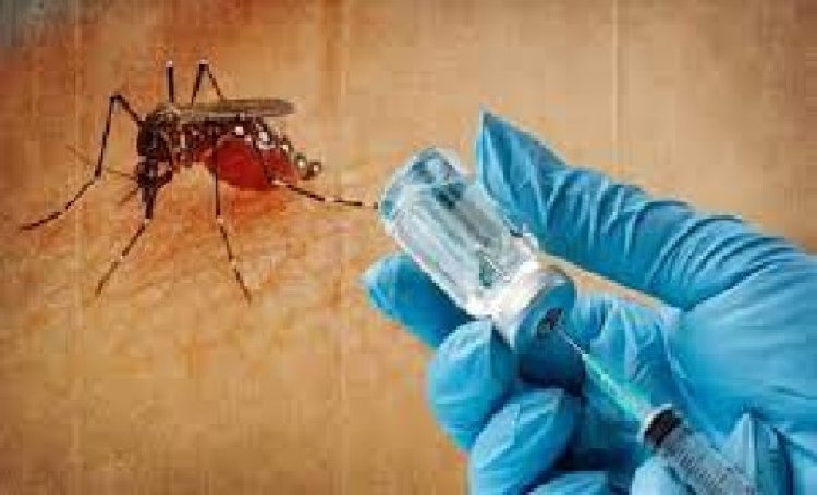 चिकनगुनिया की पहली वैक्सीन को मंजूरी, हर साल होती है हजारों मौत...