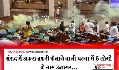 संसद में अफरा तफरी फैलाने वाली घटना में 6 लोगों के नाम उजागर...