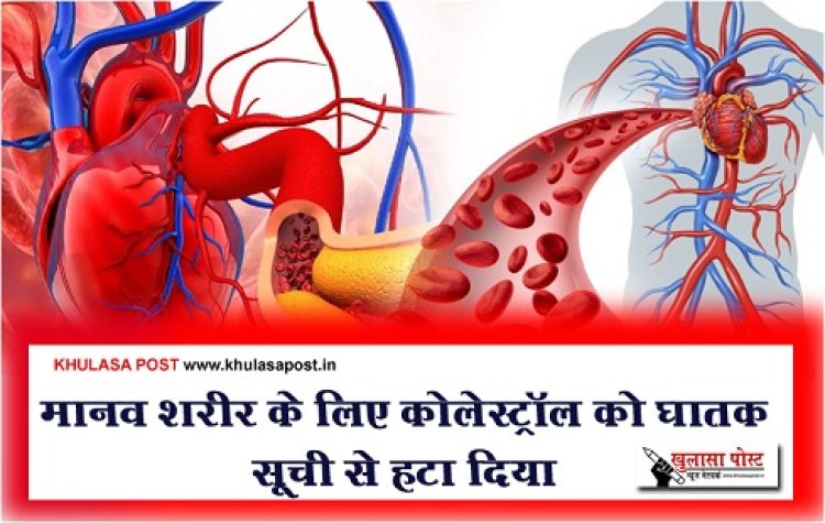 Health News : मानव शरीर के लिए कोलेस्ट्रॉल को घातक सूची से हटा दिया...