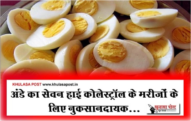 Health News : अंडे का सेवन हाई कोलेस्ट्रॉल के मरीजों के लिए नुकसानदायक... 