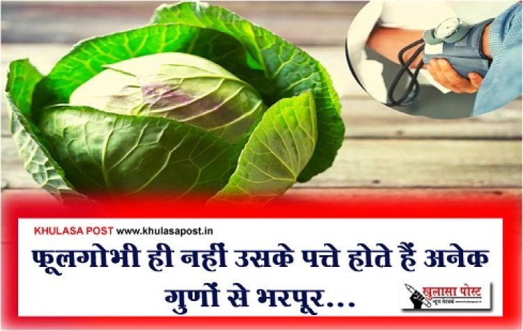 Health News : फूलगोभी ही नहीं उसके पत्ते होते हैं अनेक गुणों से भरपूर...