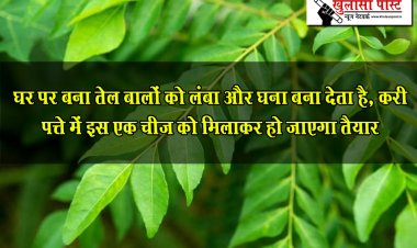 घर पर बना तेल बालों को लंबा और घना बना देता है, करी पत्ते में इस एक चीज को मिलाकर हो जाएगा तैयार