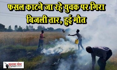 फसल काटने जा रहे युवक पर गिरा बिजली तार, हुई मौत