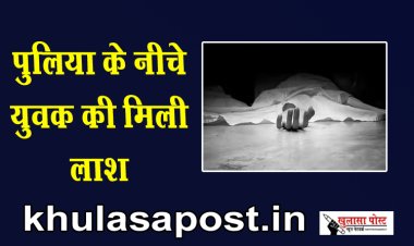 पुलिया के नीचे युवक की मिली लाश