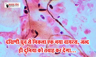 दक्षिणी ध्रुव से निकला एक नया वायरस, जल्द ही दुनिया को तबाह कर देगा...
