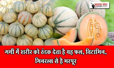 गर्मी में शरीर को ठंडक देता है यह फल, विटामिन, मिनरल्स से है भरपूर