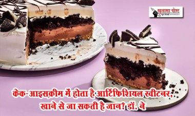 केक-आइसक्रीम में होता है आर्टिफिशियल स्‍वीटनर, खाने से जा सकती है जान? डॉ. ने
