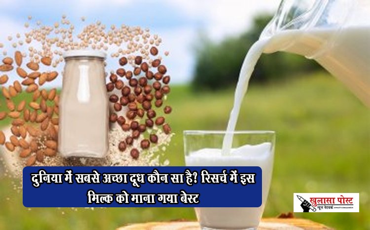 Dairy Milk Vs Plant Milk : दुनिया में सबसे अच्छा दूध कौन सा है? रिसर्च में इस मिल्क को माना गया बेस्ट